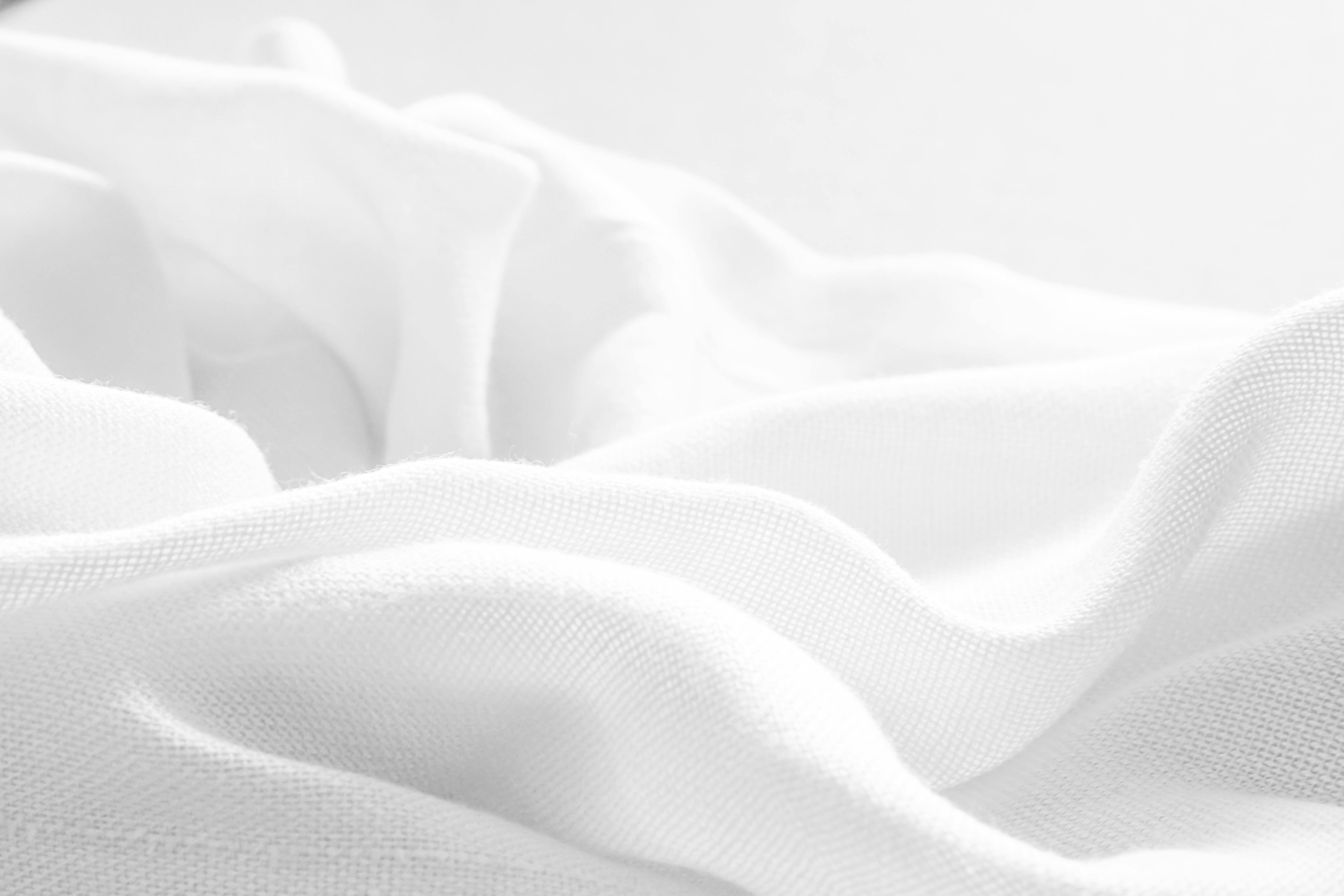 Web Design 1