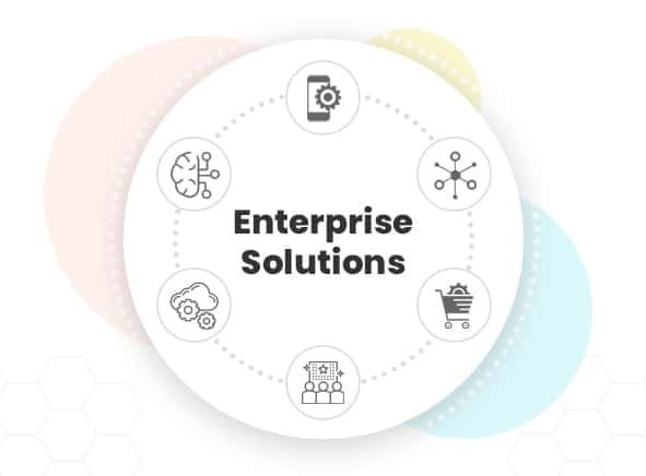 Enterprise & Government Software Solutions