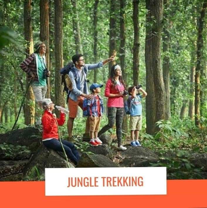 Jungle trekking